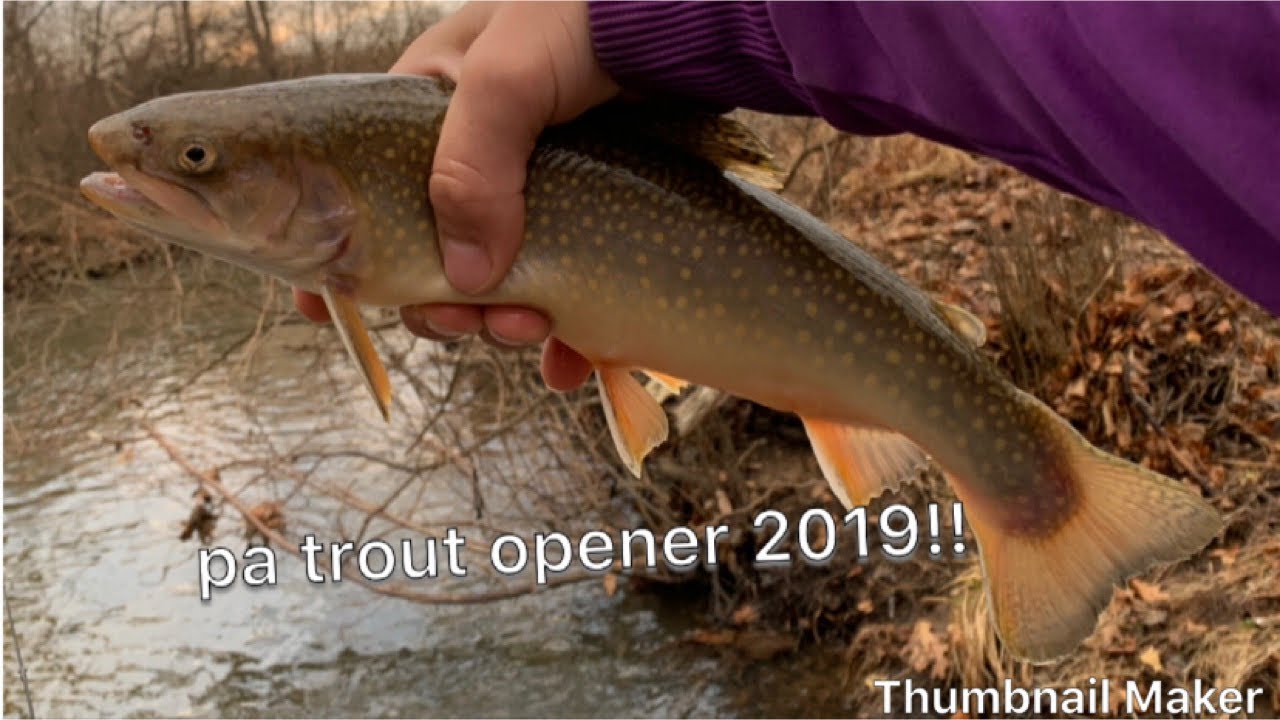 PA TROUT OPENING DAY FISHING 2019!! YouTube