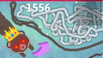 Snake. Io - BOZO ( Panda) Trapped Top 01 Snake In The Map! - Epic Snake. Io Gameplay