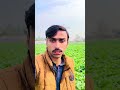 Peaceful Village Environment 😍