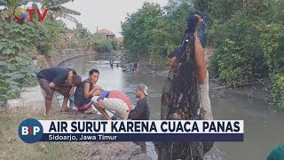 River Water Recedes, Residents Flock to Catch 'Drunk' Fish - BIP 09/02