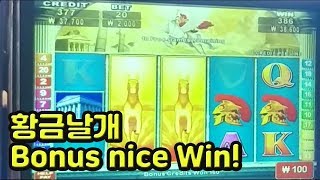 Korea slot / Golden wings Free games bonus nice Win!