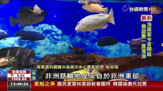 屏東水族館施魔法原生魚化身觀賞魚 