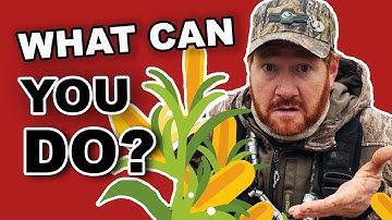 Duck Hunting Club Secrets | Planting for Ducks | Tips to Compete!