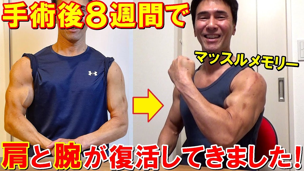 手術後8週間で肩が動かせるように！腕の太さもマッスルメモリーで復活してきました【腱板断裂】
