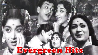 NAGESWARA RAO MOOGA MANASULU EVERGREEN MOVIE SONGS JUKEBOX | SAVITRI, JAMUNA | GHANTASALA