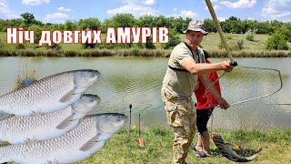 Вечірній "концерт" АМУРІВ... Три рази НА БІС!!! ✨ ЧУДО-товстолоб 🐬 Fishing Video