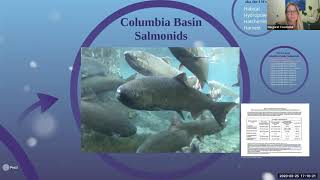 Restoring Snake River Salmon campaign call