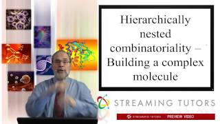 Biochemistry   Cholesterol Biosynthesis tutorial