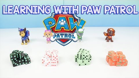 Learn Colors With PAW PATROL Learning Video