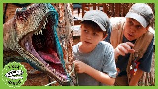 Giant Life Size Dinosaur vs T-Rex Toys! | T-Rex Ranch Dinosaur Videos