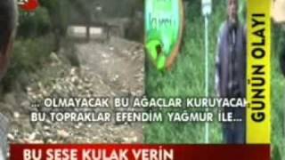 Bu Sese Kulak Verin