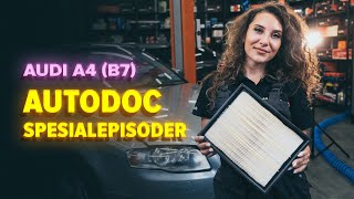 Hvordan skifte Luftfilter på SEAT EXEO ST (3R5) - videoguide