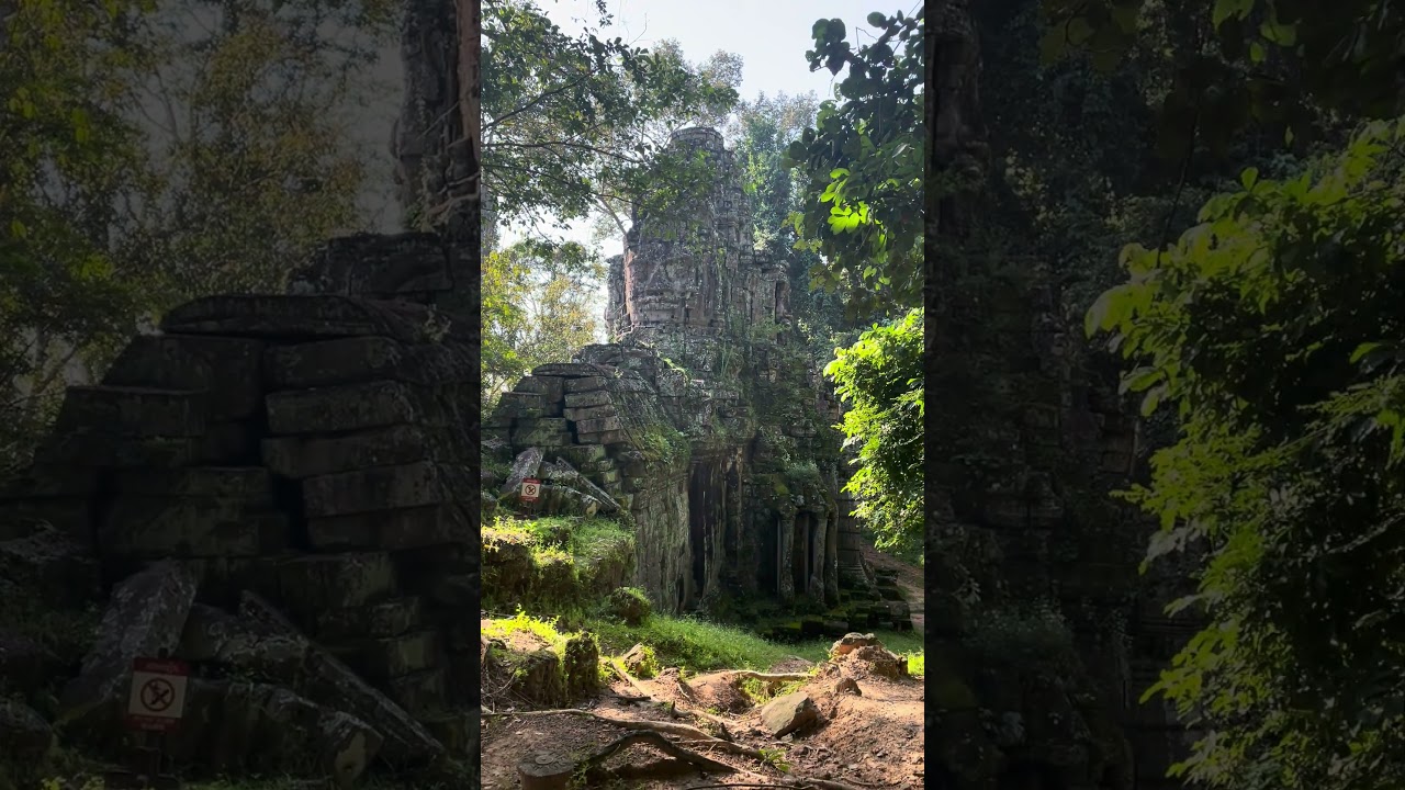 Gate of death amazing gate 