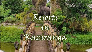 Kaziranga | Best Resort in Kaziranga ? | S1 E1 | Kaziranga National Park | Weekend Trip | Assam
