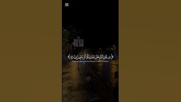 سوره الشعراء | الايه ٨٨ يوم لا ينفع مال ولا بنون #ياسر _الدوسري