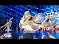 Boryana dance and entertainment | Кастинги | България търси талант 2022