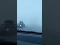 Don’t go to Alberta today
