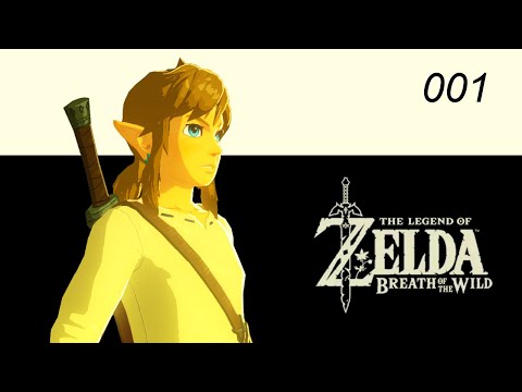 Видео: Zelda: Breath Of The Wild для первого 100-процентного забега по-прежнему занимает 49 часов