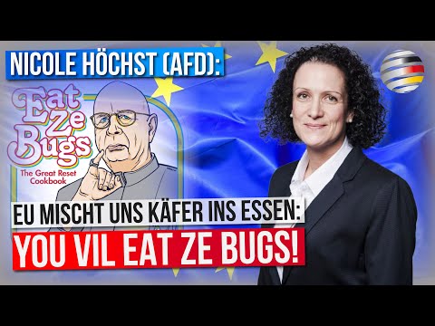 EU mischt uns Käfer ins Essen: You vil eat ze bugs! | Ein Kommentar von Nicole Höchst (AfD)