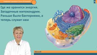 видео: Корал Магний - роль для организма. Врач  О.Бутакова. картинка: Корал Магний - роль для организма. Врач  О.Бутакова.