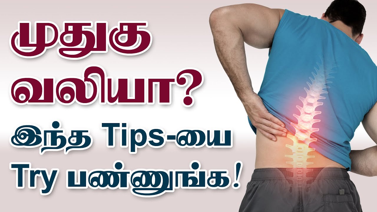Back Pain முதுகு வலி நீங்க Back Pain Relief Exercises Disc