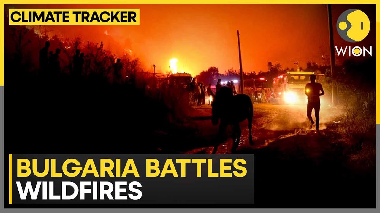 Over 10,000 Acres Burnt, Evacuation Ordered in Ploski Village | WION Climate Tracker