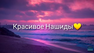 Самые красивые #Нашид мавля я къад слушайте от серца 💜💞