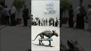 Que pasaría si vas al sat? #impuestos #mexico #humor #gobierno #cdmx #ia