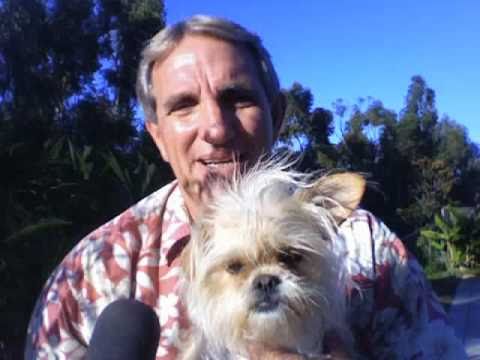 Fleas and Ticks Natural Control for Animals by Dr....