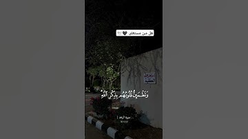 الذين امنوا وتطمئن قلوبهم بذكر الله || #سورة_الرعد