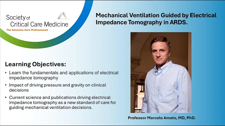 Mechanical Ventilation Guided by Electrical Impedance Tomography.