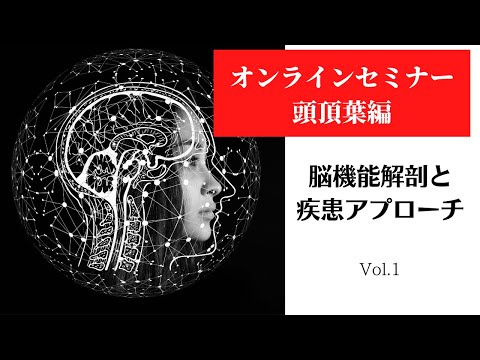 脳機能解剖と疾患アプローチ〜頭頂葉編〜Vol.1 PT3研究会オンライン