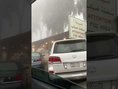 غريب ال مخلص ابغاه الحين تصميم 