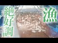 漁師泣かせ！？大漁＝大金とは限らない現実...