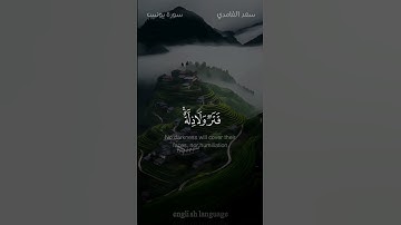 للذين أحسنوا الحسنى وزيادة - #سعد_الغامدي - #سورة_يونس #حالة_واتس