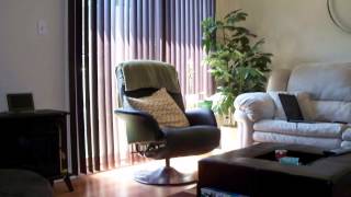 43 Thaler Avenue, Kitchener, Ontario