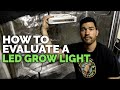 3 Things You MUST Know Before Buying an LED Grow Light 🌱💡