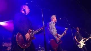 the Nomads - Top alcohol - Stockholm 2013
