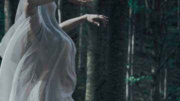 A Tergo Lupi - Heal the Tree (Official Video)