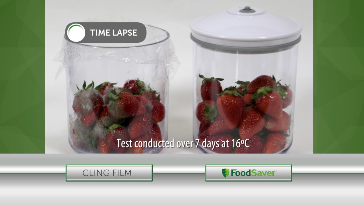 FoodSaver Timelapse YouTube