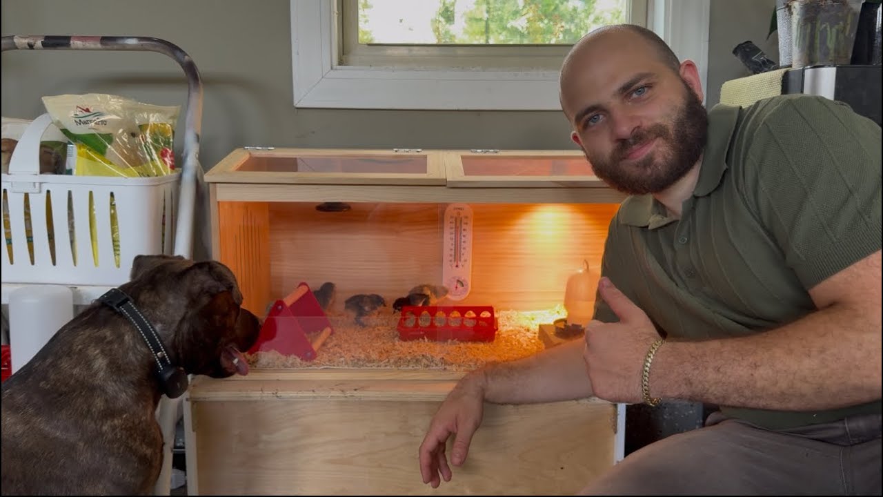 Building a Chicken Brooder | The Arnak Way | - YouTube