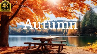 Music heals the heart with Autumn🍁 Gentle music restores the nervous system and satisfies the soul by Enjoy Nature 115 views 6 months ago 23 hours