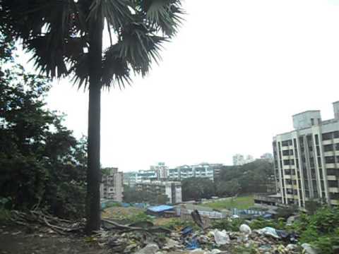 Alta Monte Tower D video 2