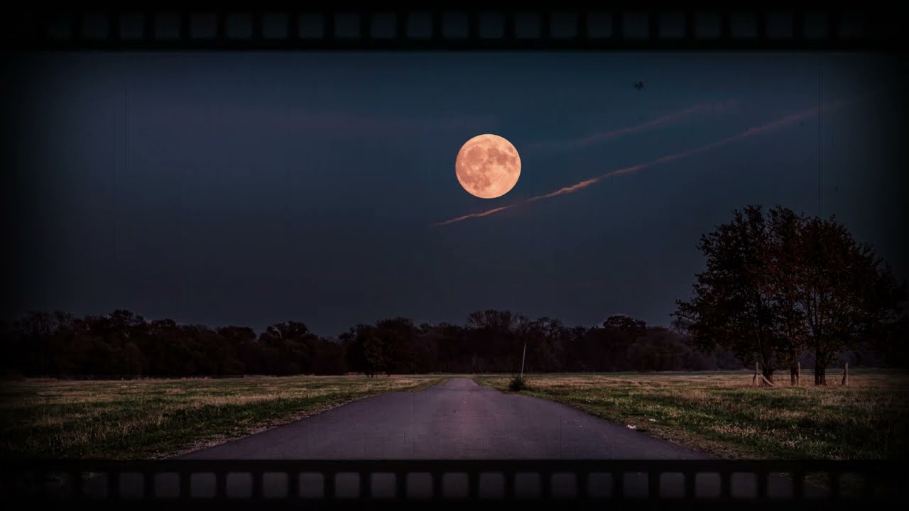 my way おはよう真夜中&flutewave リリックVideo