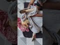 खुशी देखो Shiro की #labrador #shiro #funny#funnypet 🤣🤣🤣🤣🤣