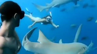 😱 WOW 🌊 WATCH HOW THESE AMAZING COUPLE SWIM WITH AN GANG OF 🐬SHARKS🐬 !!!  ( MUST WATCH )