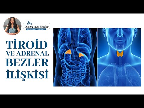 Video: Adrenal Yorgunluğu Tedavi Etmek: En Önemli Sorularınız Cevaplandı