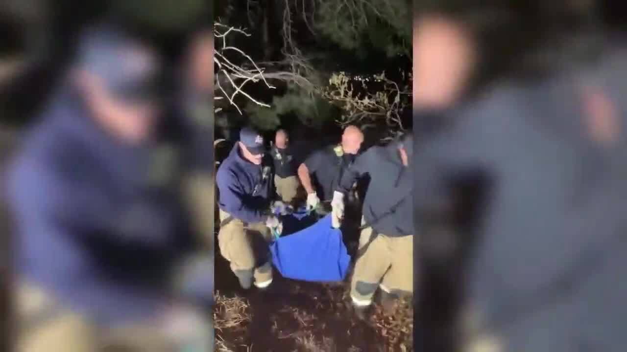 Colorado Springs firefighters rescue sleepy bear from tree - YouTube