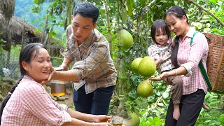 Download Lagu A Simple Gift with Deep Love: An Harvests Sweet Pomelo for Her Mother-in-Law MP3