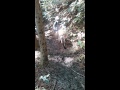 真冬のイガ物語